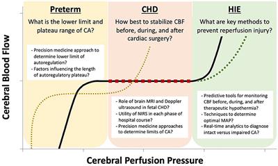 Cerebral Blood Flow Monitoring in High-Risk Fetal and Neonatal Populations